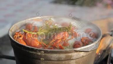 小<strong>龙虾</strong>在水中用香料和草药烹饪。 热煮小<strong>龙虾</strong>。 <strong>龙虾</strong>特写..